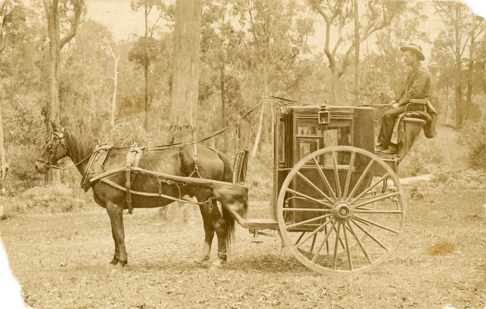 Mr Jo J. Smith and a horsedrawn cab, 1911, 157 x 210mm, black & white photograph