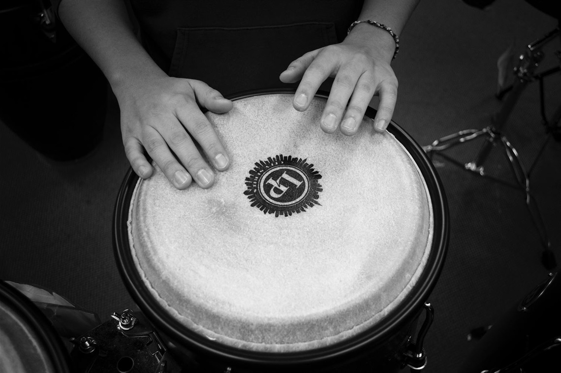 An image of a bongo-style drum